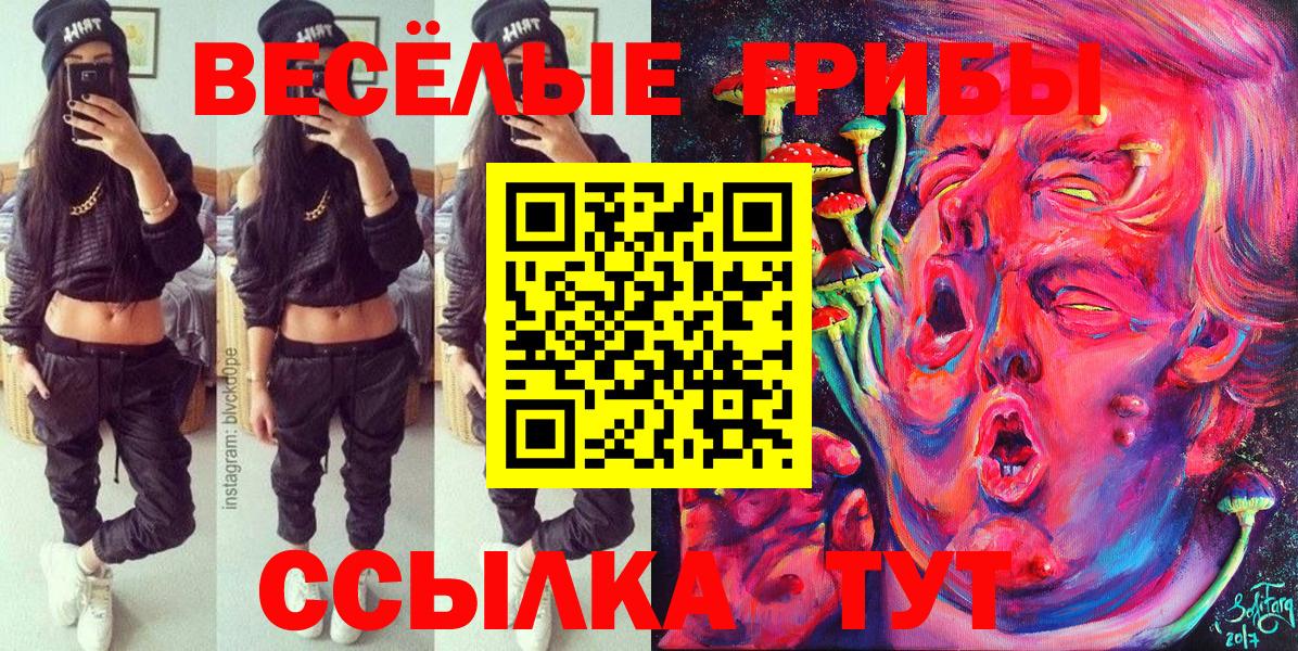 Псилоцибиновые грибы мухоморы  Галлюциногенные грибы Psilocybine cubensis  Вход с VPN  цены наркотик  Отрадный 