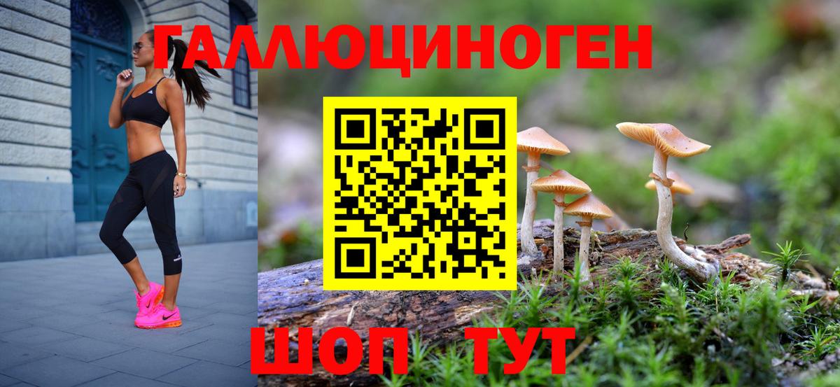 Галлюциногенные грибы прущие грибы Отрадный